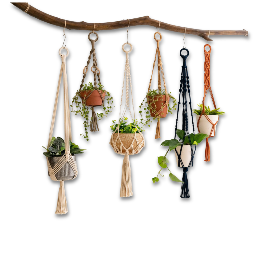 macramé plant hangers